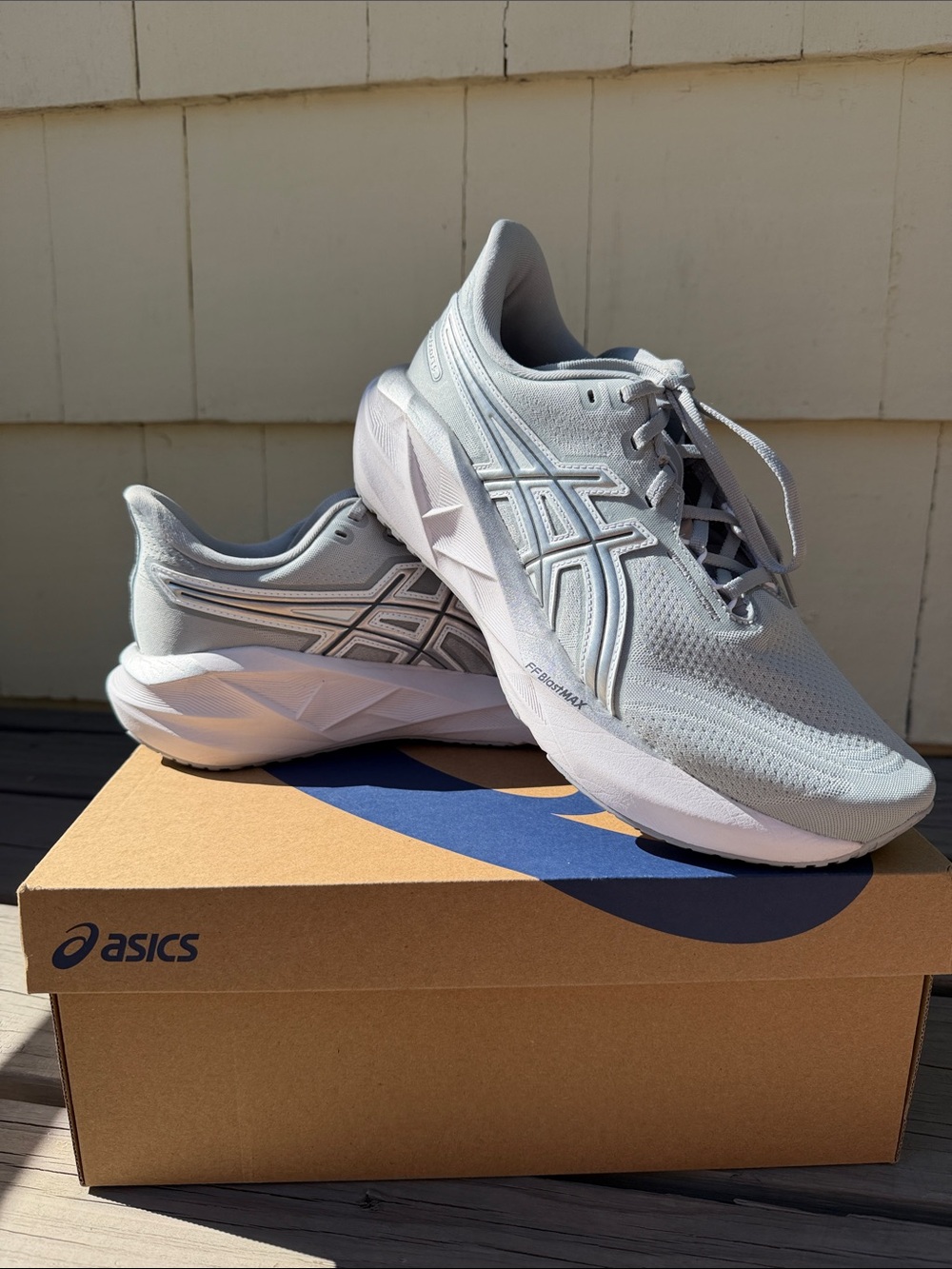 Asics NovaBlast 5 Running Sneakers